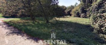 Snímek obrazovky 2026-02-26 141051