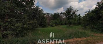 Snímek obrazovky 2025-11-27 125738