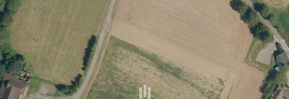 Prodej pozemků, 12 432 m²  Rychvald