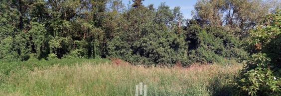 Prodej pozemků 3 244 m² Darkov